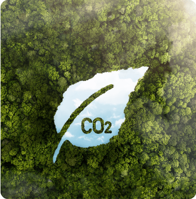 Understanding Greenwashing and Its Consequences